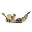 torn cloth
