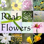Real Flowers 