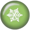Christmas green snowflake brad