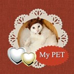 my pet 1