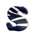 ss