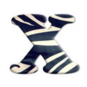 x
