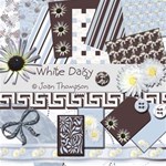 White Daisy Kit