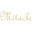 miracle_glitter_ds