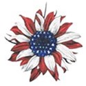 patriotic daisy