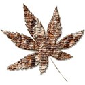 leaf copper