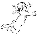 cupid fly black