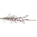 cluster branch berry