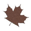 leafbrown