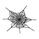 spiderweb