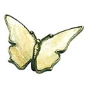 butterfly 2