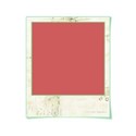 polaroid frame