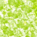 jThompson_butterfly_paper7