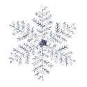 SCD_FrigidBreeze_snowflake3