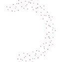 Peral scatters