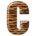 c_tiger_mikki