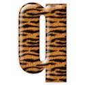 q_tiger_mikki