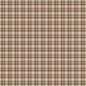 lisaminor_junior_paper_i
