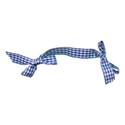 checked bow blue