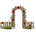 garden arch roses