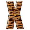 x2_tiger_mikki