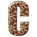 c2_giraffe_mikki