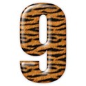 9_tiger_mikki