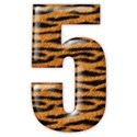 5_tiger_mikki