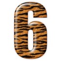 6_tiger_mikki