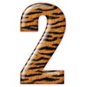 2_tiger_mikki