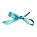 bow teal copy