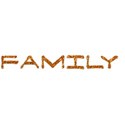 FAMILY 01