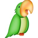parrot