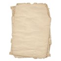 parchment3