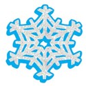 snowflake6