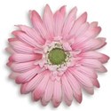 jennyL_loveyou_flower7