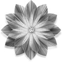 silver flower