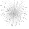 silver firework