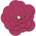 Plain_Pink