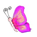 3 flying butterfly pink yellow