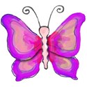 1 pink butterfly