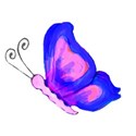 15 pink blue flying butterfly