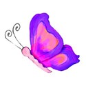 16 pink and lilac flying butterfly