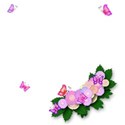 flowers and butterflies