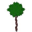 basic green tree