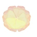 double petal water colour flower pink and yellow