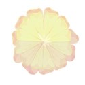 double petal yellow pink flower