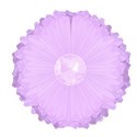lilac flower2