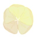 yellow flower 3