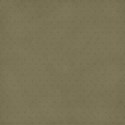 papertan2
